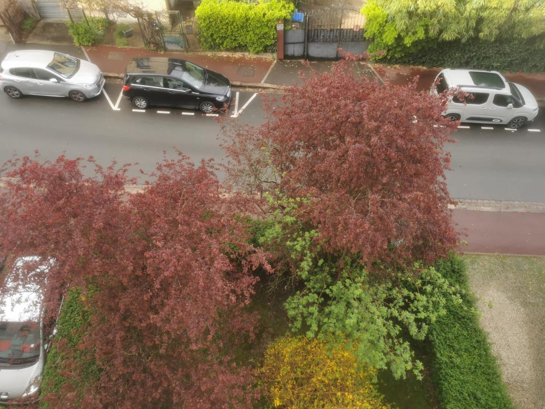 Appartement 3 Pieces A Seulement 5Km De Paris - For 2 To 7 Guests ! Fontenay-aux-Roses Exterior photo